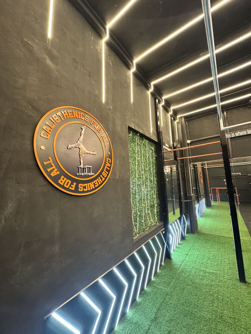 CFA Studio Bars & Rings